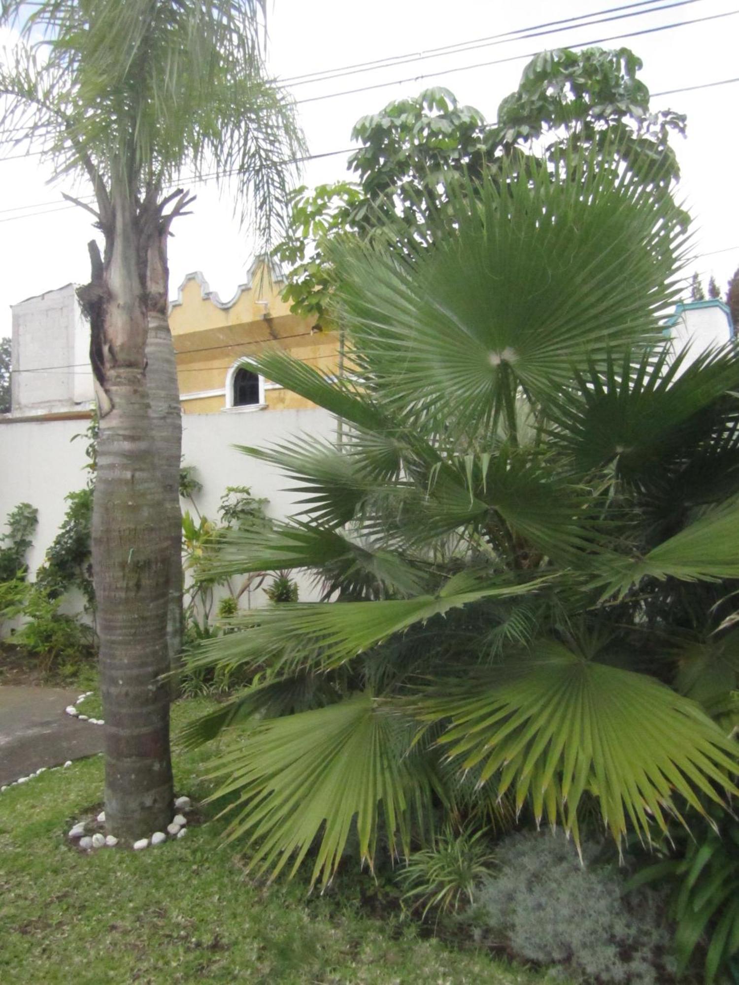 Auto Hotel Mediterraneo Xalapa Bagian luar foto
